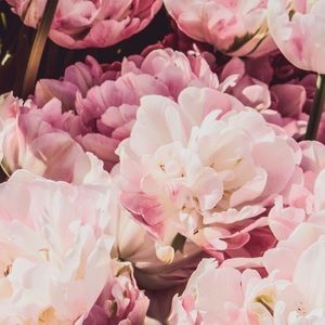 Meet your Posher, Sarina